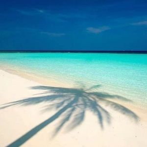 Meet your Posher, Meghan